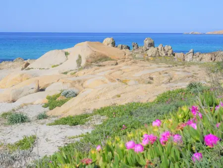 für 4 Personen ca. 55 m&sup2; in Santa Teresa Gallura, Sardinien (Nordsardinien - Photo 19