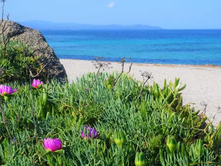 für 4 Personen ca. 55 m&sup2; in Santa Teresa Gallura, Sardinien (Nordsardinien - Photo 20