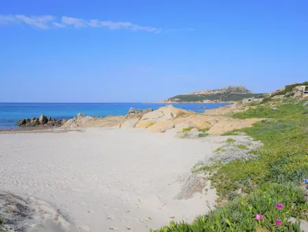 für 4 Personen ca. 55 m&sup2; in Santa Teresa Gallura, Sardinien (Nordsardinien - Photo 21