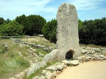 Villa Fiore, Maison 4 personnes à Bassacutena - Photo 17