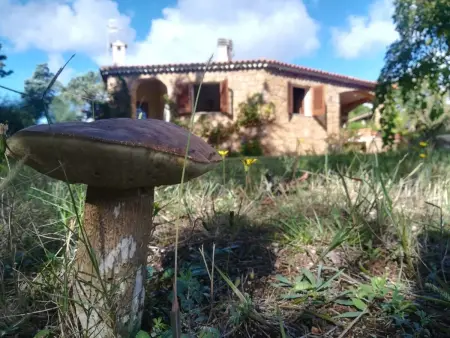 CASA ANTONELLA, Appartement 3 personnes à Cannigione - Photo 22