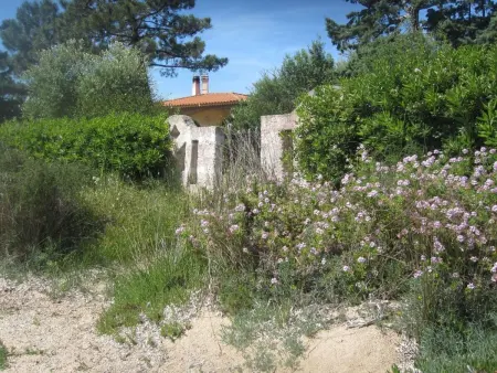 CASA ANTONELLA, Appartement 3 personnes à Cannigione - Photo 28