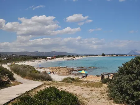 Apt. Eldi 2AS, mit gemeinsamem Schwimmbad, Appartement 6 personnes à San Teodoro - Photo 30