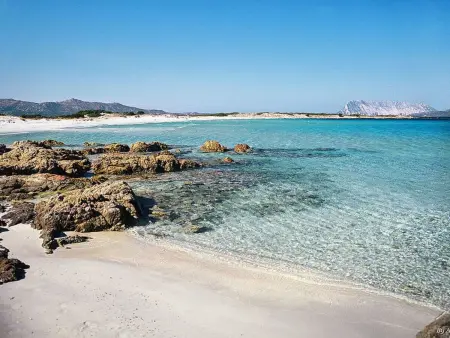 Apt. Eldi 1C, mit gemeinsamem Schwimmbad, Appartement 4 personnes à San Teodoro - Photo 26
