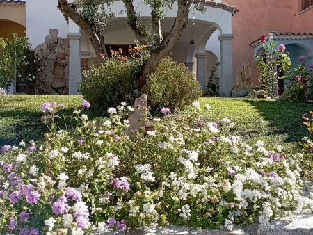 Haus Le Rose, Maison 3 personnes à Budoni - Photo 1