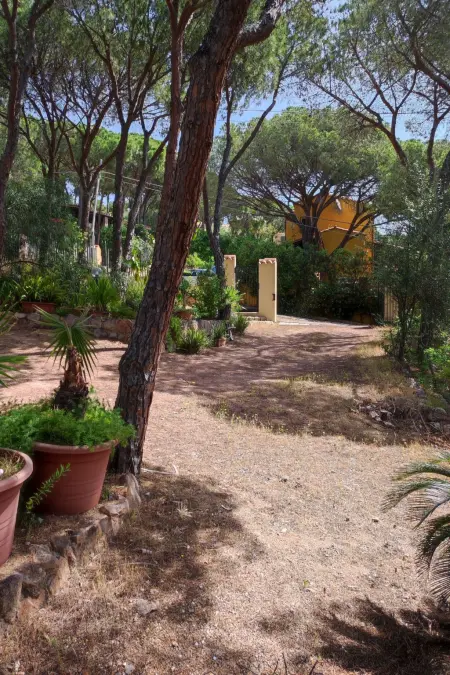 Villa Giancarla, Maison 6 personnes à Chia - Photo 12