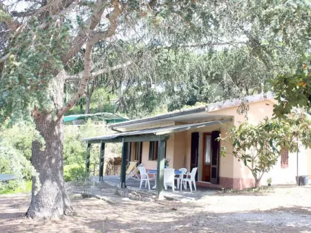 Villa Cedro, Maison 4 personnes à Capoliveri - Photo 4