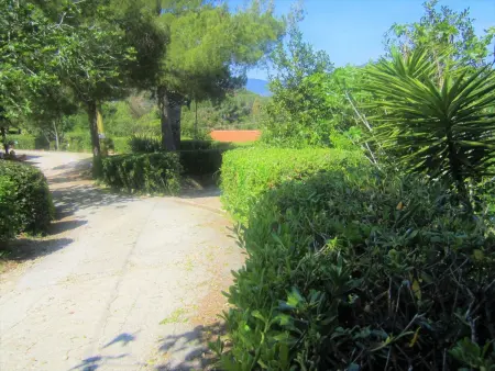 1670910, Appartement 4 personnes à Capoliveri - Photo 25