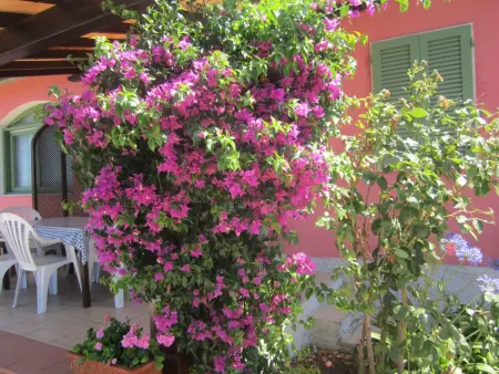 Appartement 7 personnes à Capoliveri - Photo 23