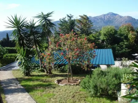 Gemütliches Appartement in Capoliveri mit Grill und Terrasse - Photo 19