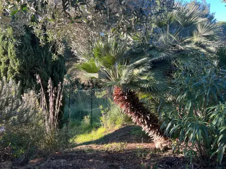 Exklusiv Ferienhaus Elba mit Panorama und Garten - Photo 14