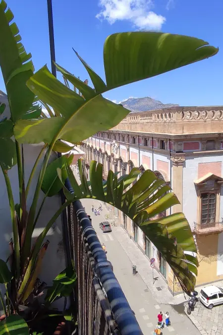 Wohnung  La Terrazza di Massimo, Appartement 6 personnes à Palermo - Photo 10
