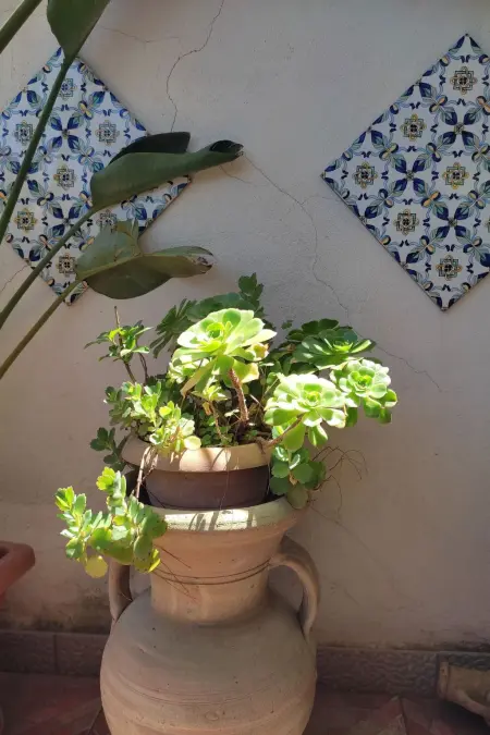 Wohnung  La Terrazza di Massimo, Appartement 6 personnes à Palermo - Photo 33