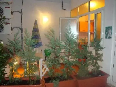 Wohnung in Palermo mit Terrasse, Appartement 4 personnes à Palermo - Photo 12