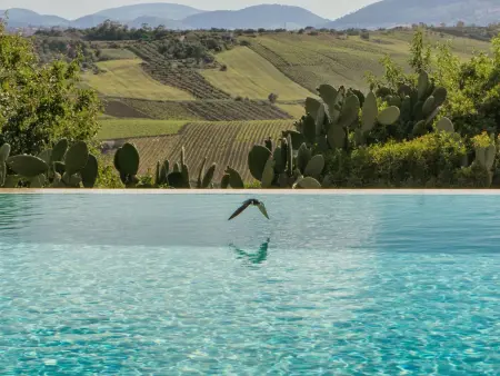 in Partinico mit Privatem Pool, Maison 8 personnes à Partinico - Photo 10