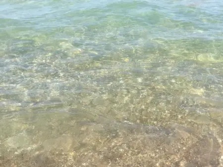 in Castellammare Del Golfo mit Großem Garten und - Photo 27