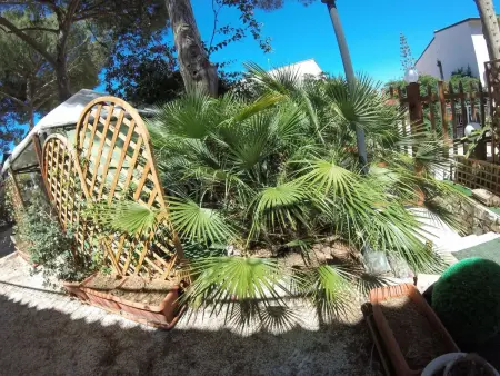 'Villa sul porto, Appartement 5 personnes à San Vito lo Capo - Photo 2