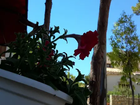 'Villa sul porto, Appartement 5 personnes à San Vito lo Capo - Photo 14