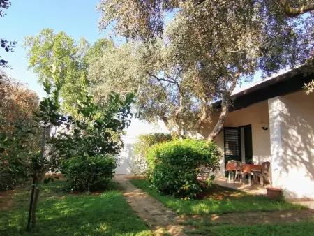 Angenehme Wohnung mit Terrasse, Schwimmbad, Appartement 2 personnes à Marsala - Photo 16