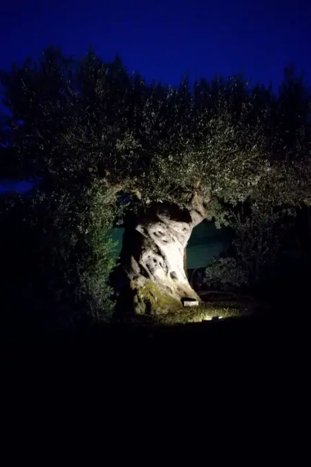 'Marc' mit Privatparkplatz, Maison 5 personnes à Sciacca - Photo 29