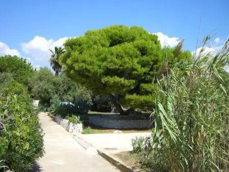 Villa Matilde: Kleine Ferienwohnung mit Meerblick - Photo 20
