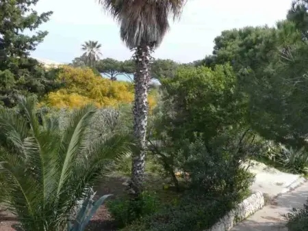 Villa Matilde: Kleine Ferienwohnung mit Meerblick - Photo 21