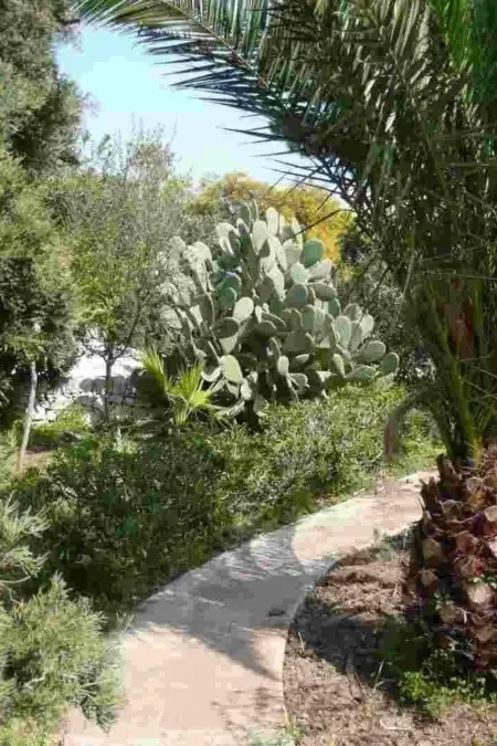 Villa Matilde: Kleine Ferienwohnung mit Meerblick - Photo 22