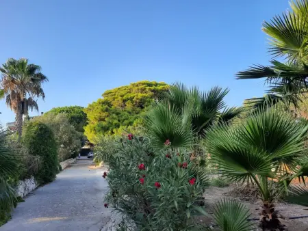Villa Matilde: Kleine Ferienwohnung mit Meerblick - Photo 24