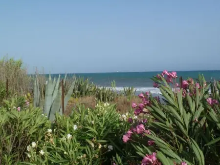 Villa Matilde: Kleine Ferienwohnung mit Meerblick - Photo 25