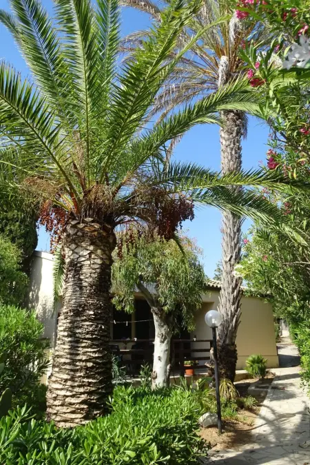 Schöner zentraler Bungalow direkt am Sandstrand auf Sizilien - Photo 20
