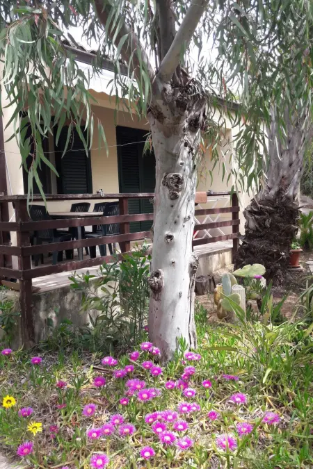 Schöner zentraler Bungalow direkt am Sandstrand auf Sizilien - Photo 22