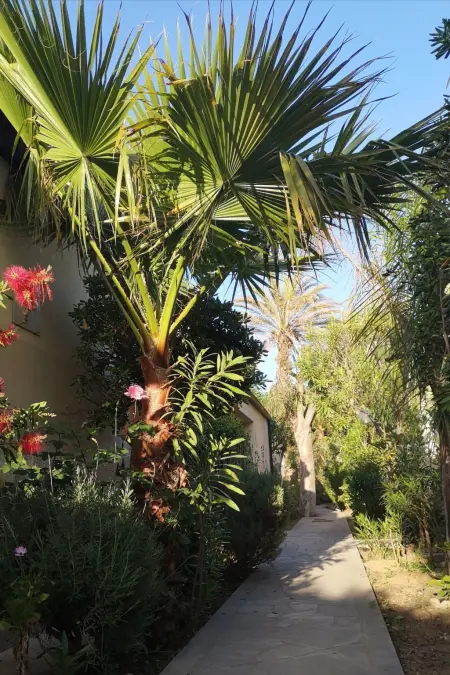 Schöner zentraler Bungalow direkt am Sandstrand auf Sizilien - Photo 35