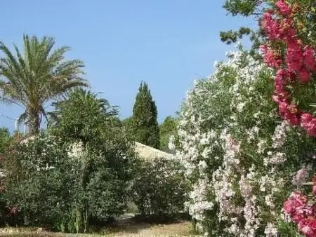 La Perla 5, Maison 4 personnes à Marina di Modica - Photo 21