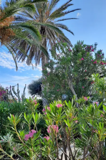 La Perla 5, Maison 4 personnes à Marina di Modica - Photo 22