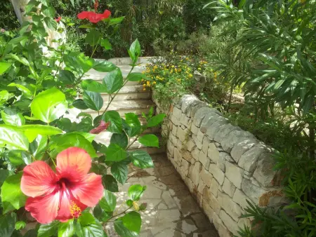 La Perla 5, Maison 4 personnes à Marina di Modica - Photo 25