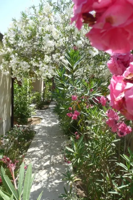 La Perla 5, Maison 4 personnes à Marina di Modica - Photo 26