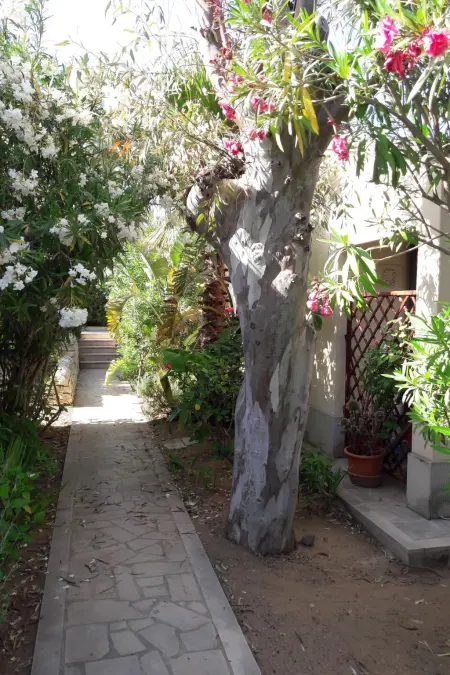 La Perla 5, Maison 4 personnes à Marina di Modica - Photo 35