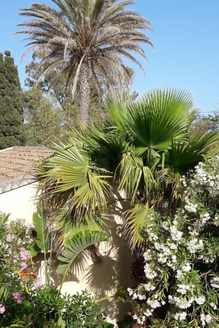 La Perla 5, Maison 4 personnes à Marina di Modica - Photo 36