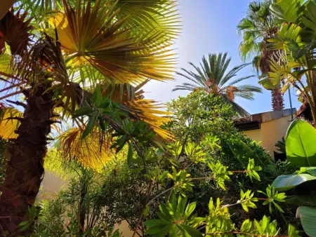 Schöner Bungalow direkt am Sandstrand auf Sizilien - Photo 21