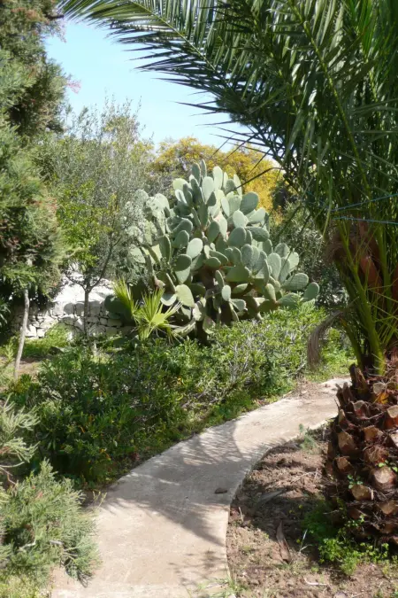 mit grosser Terrasse direkt am Meer, Appartement 5 personnes à Marina di Modica - Photo 25