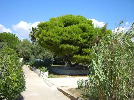 mit grosser Terrasse direkt am Meer, Appartement 5 personnes à Marina di Modica - Photo 26