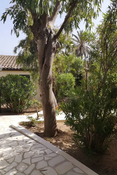 Schöner, neuer und zentraler Bungalow direkt am Sandstrand auf Sizilien - Photo 14