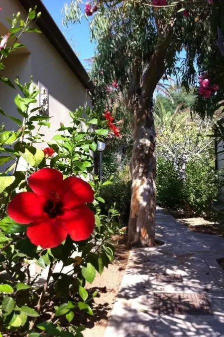 La Perla 8, Maison 4 personnes à Marina di Modica - Photo 37