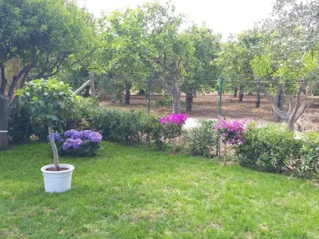 'Federica', Maison 4 personnes à Ispica - Photo 27