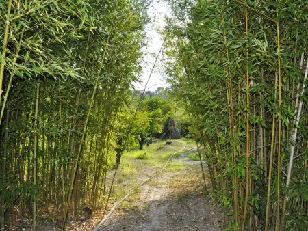 Villa in Lido Di Noto, Sizilien, Maison 5 personnes à Calabernardo - Photo 72