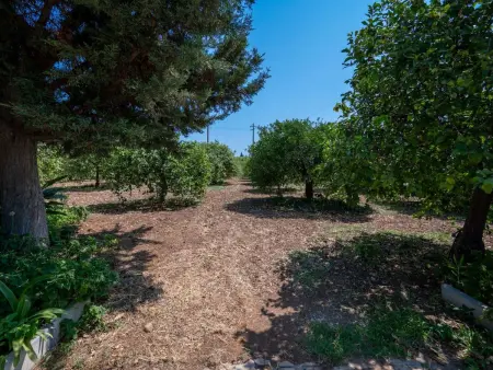 Der Zitronenhain von Nonno Corrado, Maison 8 personnes à Avola - Photo 12