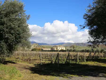 Villa dei Baroni, Maison 8 personnes à Castiglione di Sicilia - Photo 15