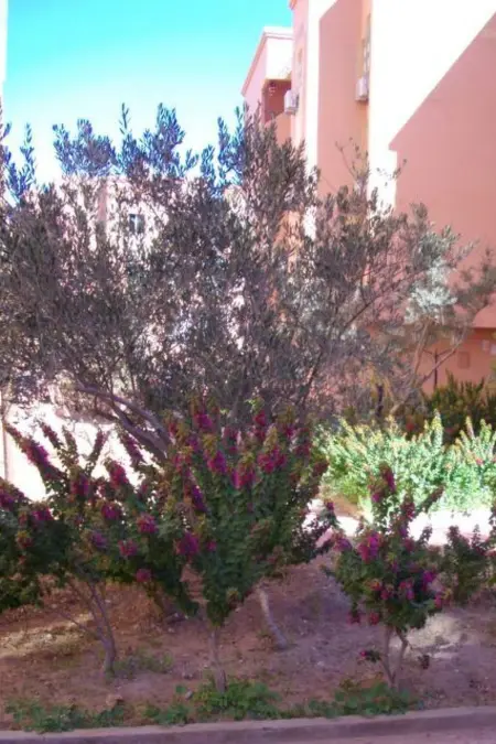 Schöne Wohnung mit Balkon und Bergblick, Appartement 4 personnes à Marrakech - Photo 21