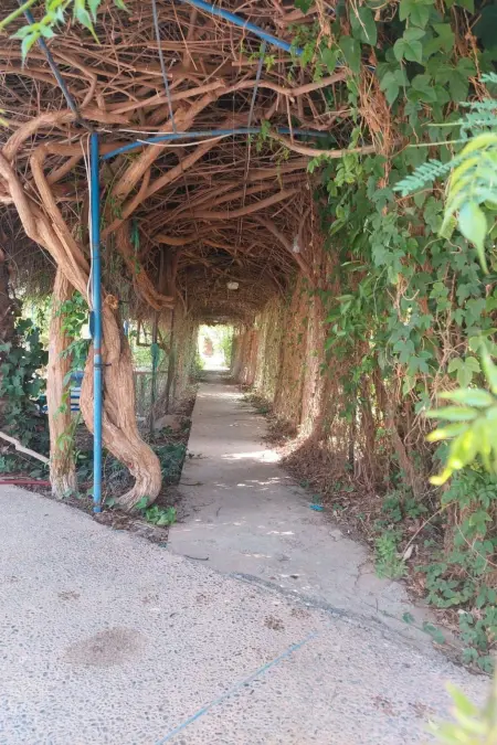 Landgut  Dar Al Hamra  Pool Garten und Bio-Bauernhof - Photo 12