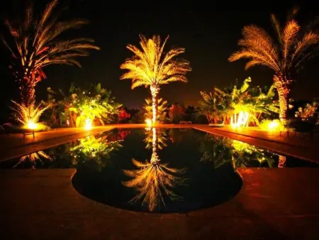 Le Jardin aux Etoiles, Maison 8 personnes à Sidi Boumoussa - Photo 6